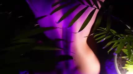 ajuicyanastasia Chaturbate cam rip 2026-09-19 02:57