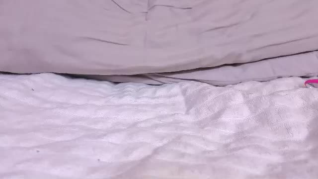 arinsun Chaturbate live cam show 2026-08-13 14:11