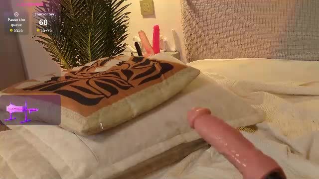 aurora_radiance Chaturbate webcam show 2026-09-11 13:26