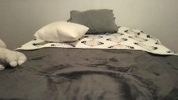 baby1865385 Chaturbate webcam rip 2026-03-31 00:41