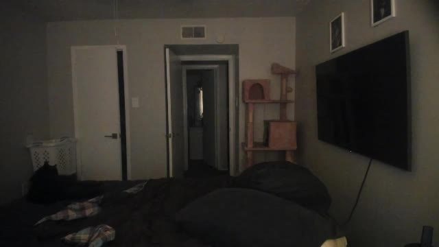 c00ki3m0nstr Chaturbate recorded cam show 2026-09-21 02:27