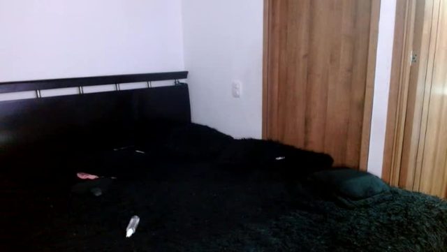 cataandtomas Chaturbate cam rip 2026-09-27 06:56