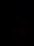 diamore3377 Stripchat live cam show 2026-07-16 10:03