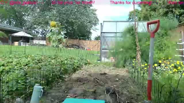 ells_palace Chaturbate cam video 2026-09-23 17:13