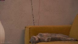 emma_land Chaturbate webcam rip 2026-05-24 08:47