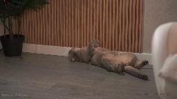 emma_land Chaturbate webcam rip 2026-07-17 02:30