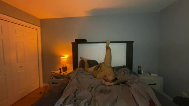 fit_fuckers Chaturbate webcam recording 2026-08-22 09:05