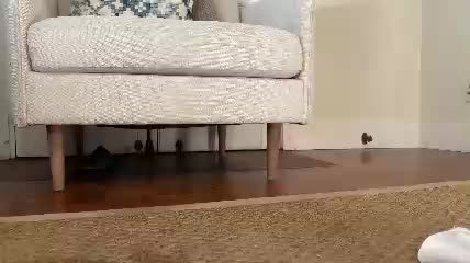 honey_sunshine Chaturbate live cam show 2026-08-22 10:47