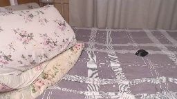hornylland Chaturbate cam video 2026-07-03 21:29