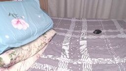 hornylland Chaturbate webcam show 2026-08-09 20:32