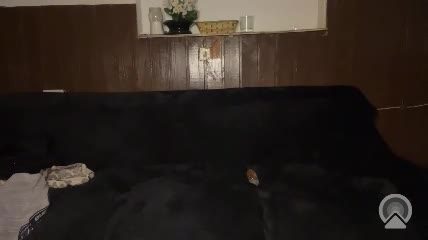 ikfc800 Chaturbate cam video 2026-09-30 19:59