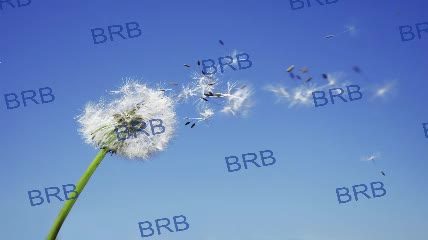 lara_fisher Chaturbate cam recording 2026-08-06 21:37