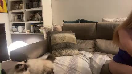latuaottavia Chaturbate live cam show 2026-09-30 21:26