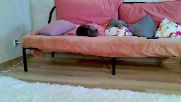 lilylumina_ Chaturbate cam show 2026-06-03 23:28