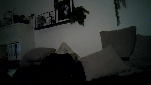 may4jay Chaturbate live cam show 2026-07-20 21:56