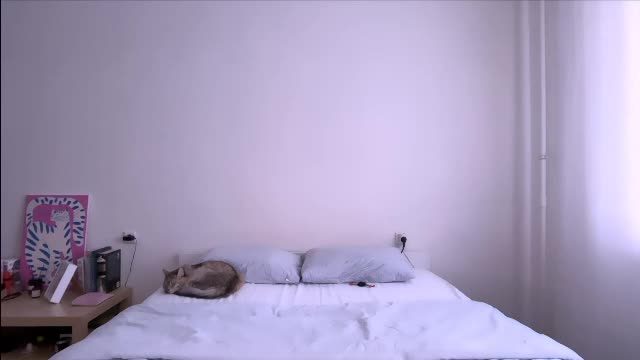milky__way_ Chaturbate live recording 2026-07-29 18:02