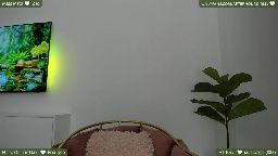 misspinkroom Chaturbate cam show 2026-07-13 00:48