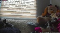 pocahontas_d Chaturbate live cam show 2026-08-09 15:50