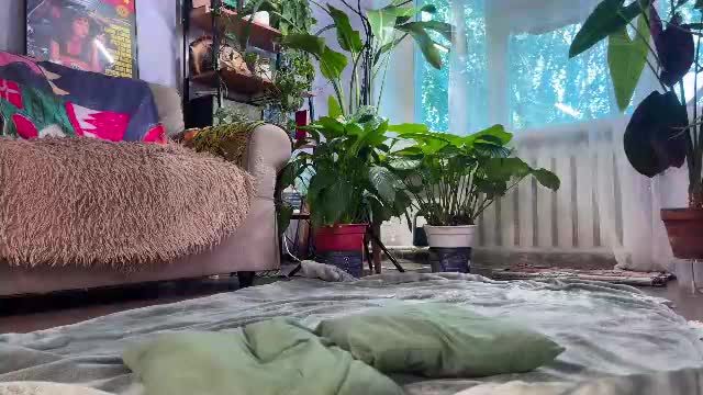 sasha_moormeoow Chaturbate cam video 2026-09-07 09:21