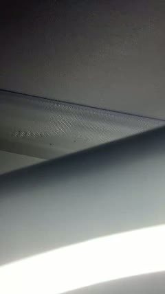 sassy_savage100621 Chaturbate cam rip 2026-08-22 12:13