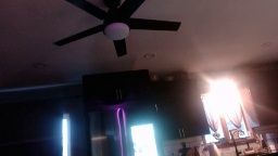 semi7_lola Chaturbate webcam show 2026-06-30 08:12