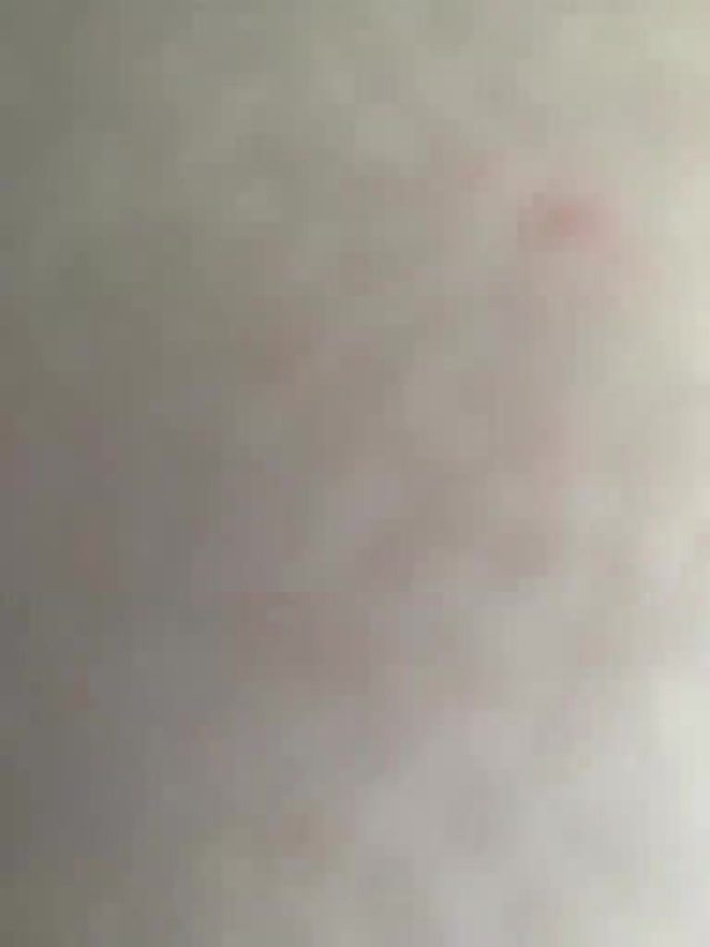 sex-education Bongacams cam recording 2026-08-12 15:45