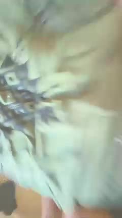 swandtw Chaturbate cam video 2026-09-05 18:19