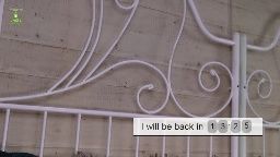 vacsler Chaturbate webcam rip 2026-08-27 03:05