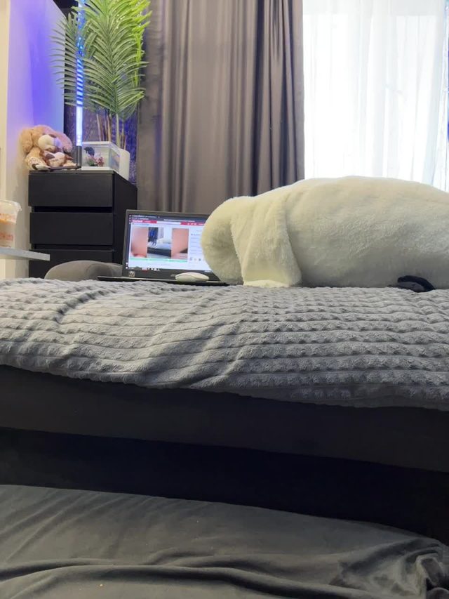 vero19nika Bongacams webcam rip · Couple