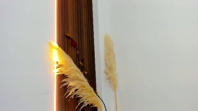 vida_web Chaturbate cam rip 2026-10-04 08:07
